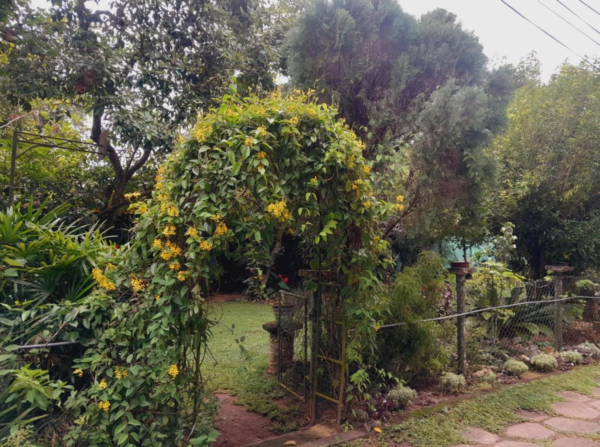 Laliz Acomodação com café da manhã Galle Exterior foto